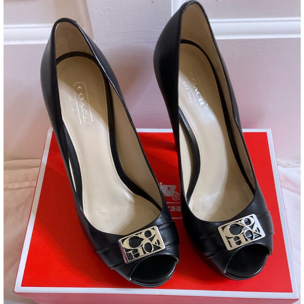 ❌ Coach Aliya Semi Matte Spiked Heels